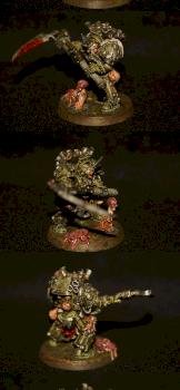 Typhus by Helix