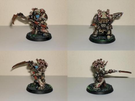 Typhus by lickar