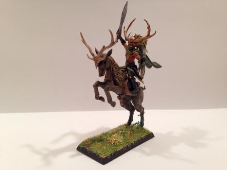Wild rider by Mr_Mitch