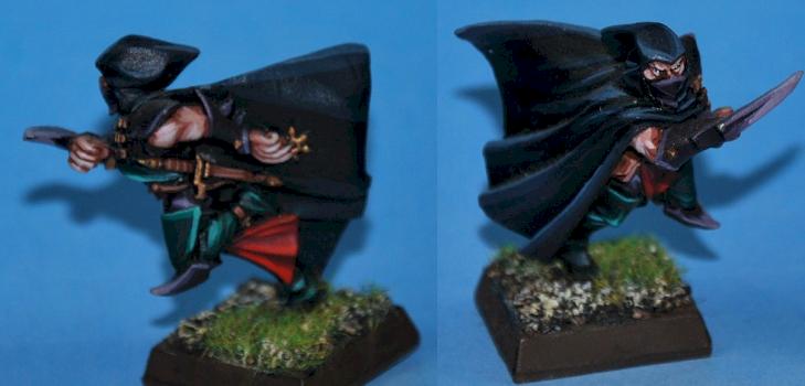 Dark elf assassin by capopik