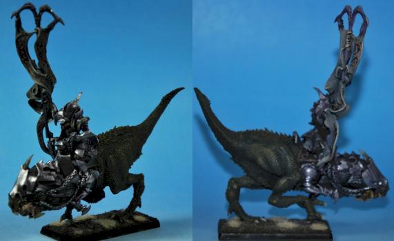 Dark elf Army standard bearer on Cold One by capopik