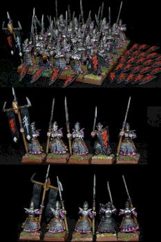 30 dark elf warriors; shield magetised by capopik