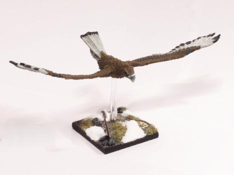 High Elf Eagle by schimmelpilz