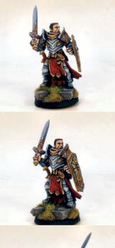 Paladin by freefall199