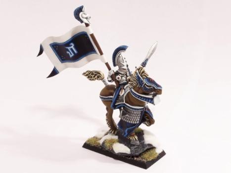 High Elf Standard bearer by schimmelpilz