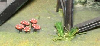 Toadstools by 4800direct