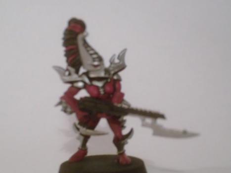 Dark eldar by Carmine
