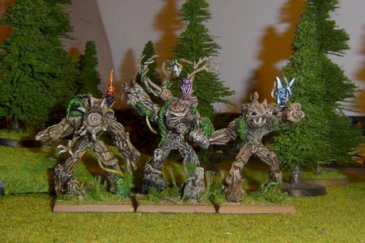 Wood elves Tree kin by seg