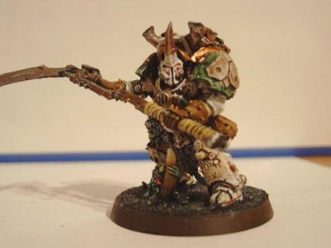 Typhus by Bloodknight