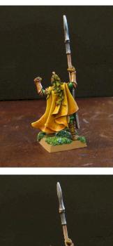 Wood Elf Eternal Guard by Diarsid