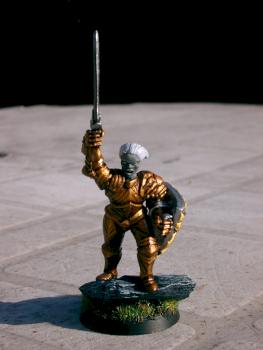 Paladin by Shaper78