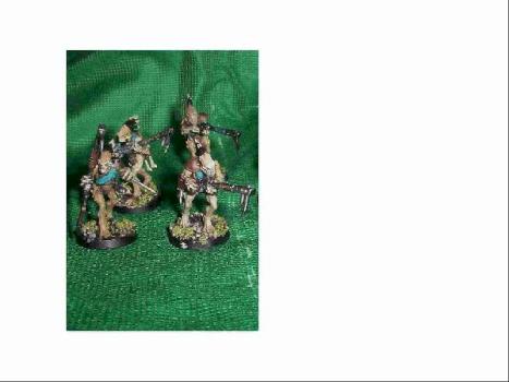 Tau kroot detail by wiseman