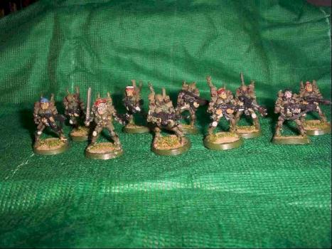 Imperial Guard stoorm troopers by wiseman
