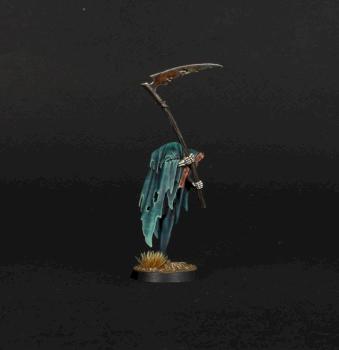 cairn wraith by dimoni777