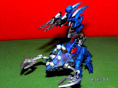 Talos conversion by jedidropout