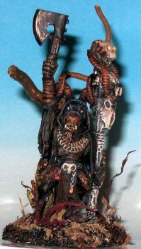bray shaman by hgoll2