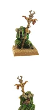 Nurgle Sorcerer by sirkarmilis