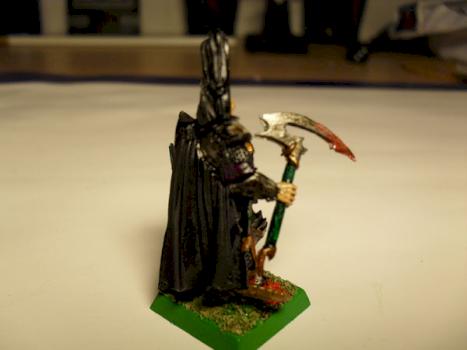 Dark Elves Highborn by LoboDerPraesi