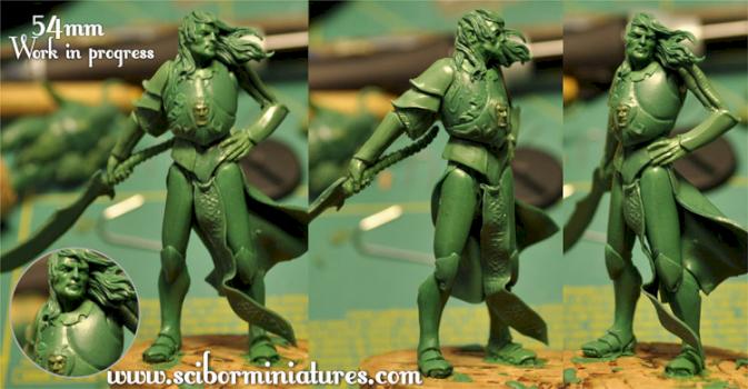 Elf work in progress by Scibor
