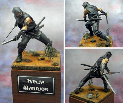 Ninja Warrior by Blowy
