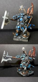 Chosen of chaos FB by Wermilion