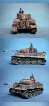 Bolt Action German Waffen SS Tiger Ace by Graveus