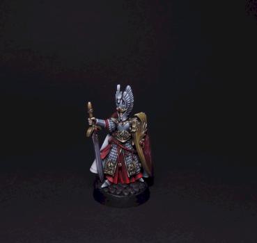 High Elf Swordsman by AsyLum