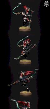 Dark Eldar Succubus by dynamic168