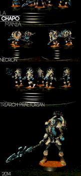 Necron - Triarch Praetorian by nonochapo