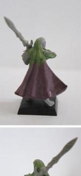 High Elves Swordmaster Bladelord converted by loredin