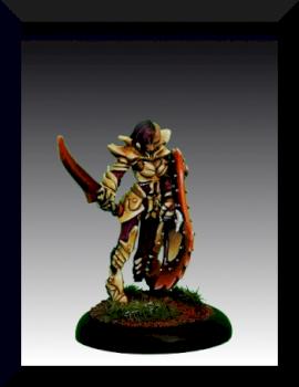 Casiatta, Anti-Paladin by Dark Elf Miniatures