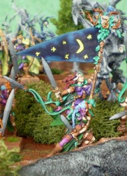 Part of my wood elves army in diorama by DaGobPower