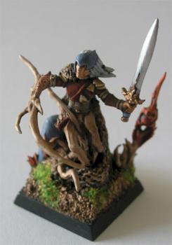 Wood Elf Hero Shapeshifter by Hesperox