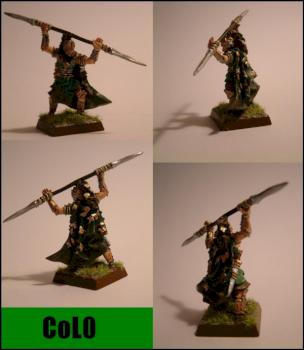 Wood Elf Eternal Guard by Colo