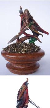 Biennacido-Wood elf lord by YakE