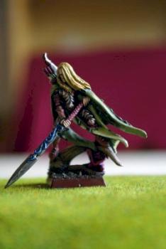 Wood Elf Noble w/ Great Sword by Nickoteen