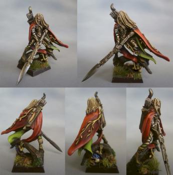 Wood Elf Highborn by Shevrar