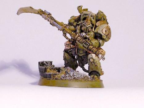 Typhus by apophis