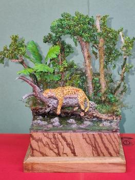 Panthera Onca by Eric Van Renterghem