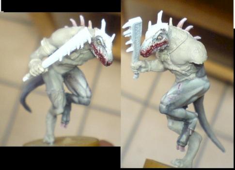 wip sang meilleur photo by marc. c