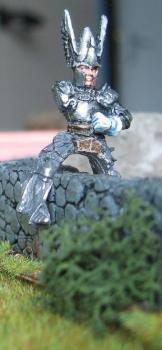 Knight of Dol-Amroth by Beregond