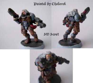 Sw scout by chodorek
