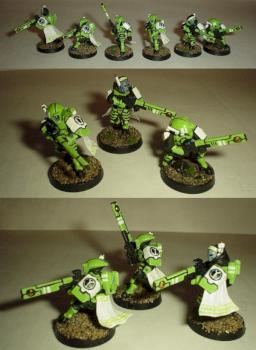 Tau Honor Guards by yaozerus