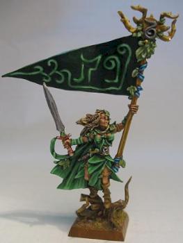 wood elf bsb by fidel01