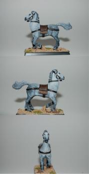 horse of a lady bretonnian by Kyra