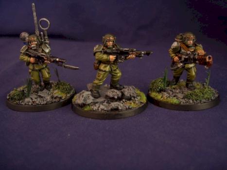 cadian shock troops by craig