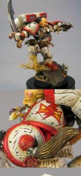white scars details by M11