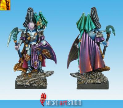 Dark Elf Dreadlord by MiG
