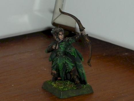 Wood Elf Glade Guard by Einar