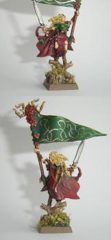 WE Battle Standard Bearer by sirkarmilis